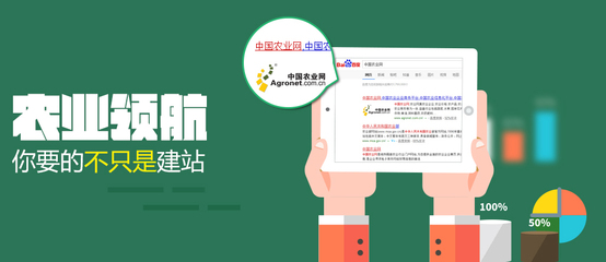网站建设丨企业官网建设丨做网站丨手机网站丨浙江瞬时达网络