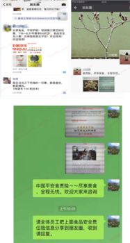 浙江平安产险 尚德守法,食品安全让生活更美好