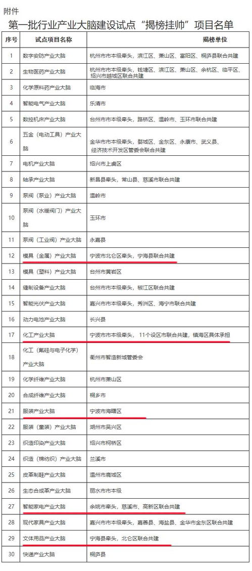 浙江首批行业产业大脑试点建设名单公布 5个大脑由宁波牵头