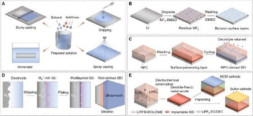 浙江工业大学佴建威 陶新永 香港城市大学楼雄文science子刊 实现稳定的锂金属阳极的表面工程