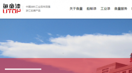 浙江鱼童新材料股份有限公司网站推广与企业网站建设项目合作方案