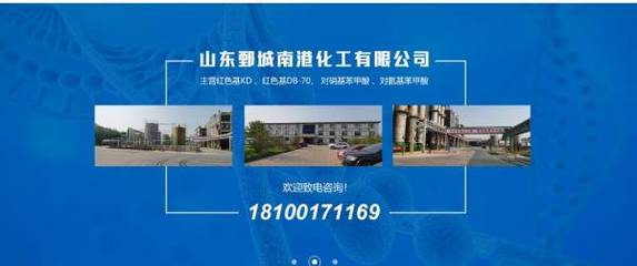 化工企业网站建设佳作赏析 山东鄄城与浙江企业的可视化建站实践